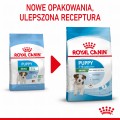 RC-SPT-DRY-MiniPuppy-CV-1-pl_PL.jpg