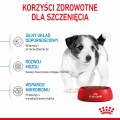 RC-SPT-DRY-MiniPuppy-CV-3-pl_PL.jpg