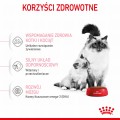 RC-SPT-DRY-Babycat-CV-3-pl_PL.jpg