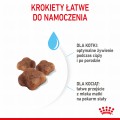 RC-SPT-DRY-Babycat-CV-4-pl_PL.jpg