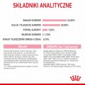 RC-SPT-DRY-Babycat-CV-6-pl_PL.jpg
