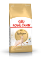 FBN2016_PACKSHOT_SPHYNX_Med._Res.___Basic.png