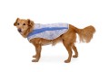 Web JPG-05403-Swamp-Cooler-Vest-Millie-Small-Print.jpg