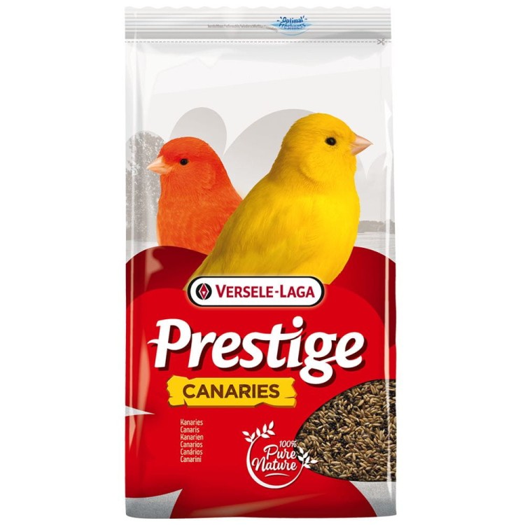 VL Prestige CANARIES.jpg