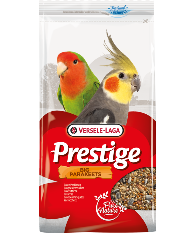 vl prestige big parakeets 5410340218808pack.png