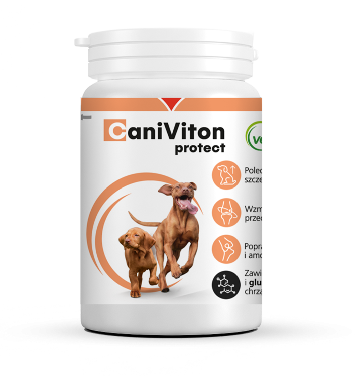 5904109019527_Caniviton protect_90tab.png