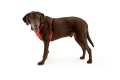 Web-30502-Front-Range-Harness-Red-Sumac-Large.jpg