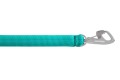 Web-40751-Front-Range-Leash-Aurora-Teal-Crux-Clip-STUDIO.jpg