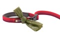Web-40354-Roamer-Leash-Red-Sumac-Accessory-Loop.jpg