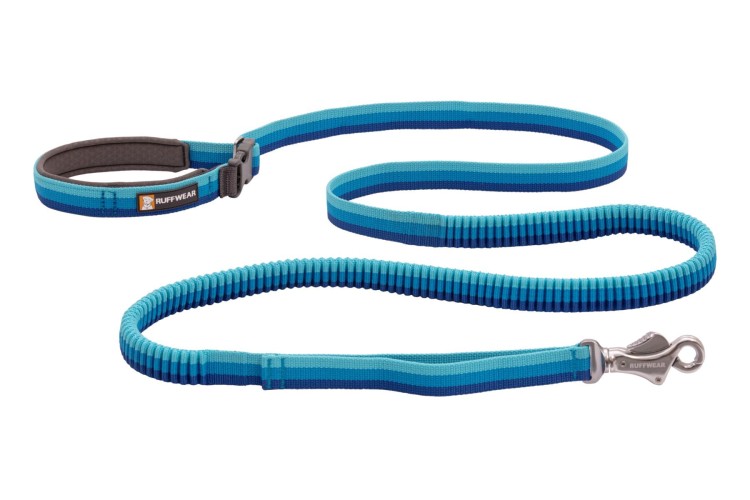 Web-40354-Roamer-Leash-Blue-Atoll.jpg