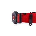 MEMOPET_COLLAR_RED_2.jpg