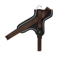 BROWN HARNES 1.jpg