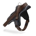 BROWN HARNES 2.jpg
