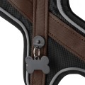 BROWN HARNES 4.jpg