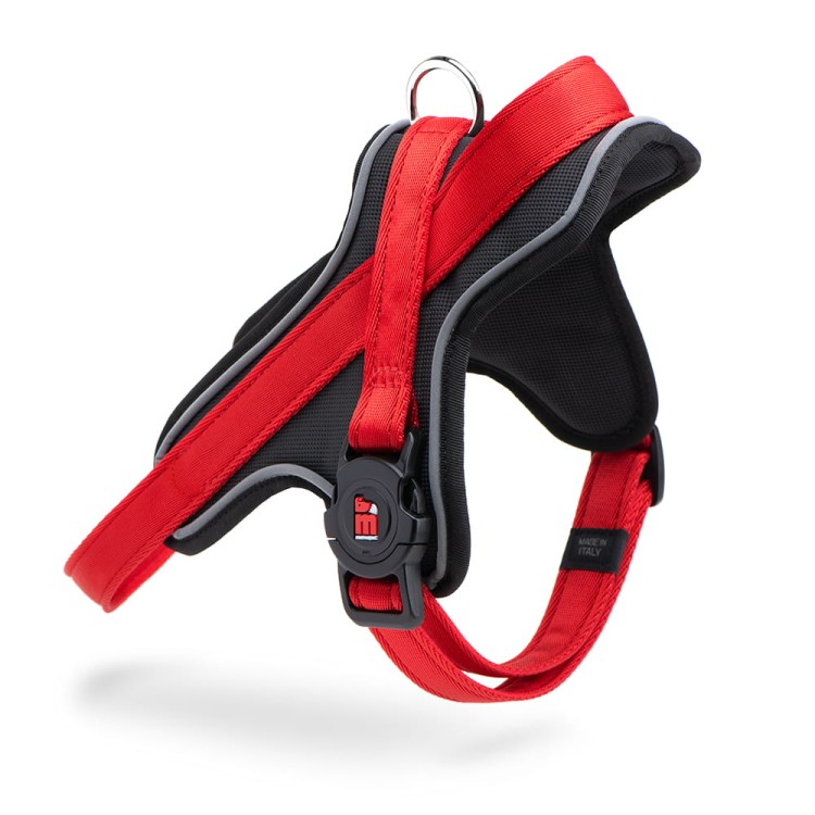 RED HARNES 2.jpg