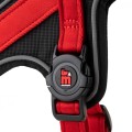 RED HARNES 3.jpg