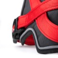 RED HARNES 5.jpg