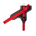 RED HARNESS 1.jpg