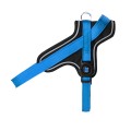 BLUE HARNES 1.jpg