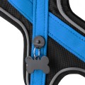 BLUE HARNES 3.jpg