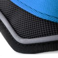 BLUE HARNES 7.jpg
