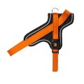 ORANGE HARNESS 1.jpg