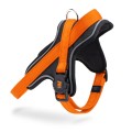 ORANGE HARNESS 2.jpg