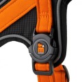 ORANGE HARNESS 3.jpg