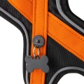 ORANGE HARNESS 4.jpg