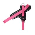 PINK HARNES 1.jpg