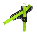 GREEN HARNESS 1.jpg