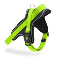 GREEN HARNESS 2.jpg
