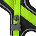 GREEN HARNESS 4.jpg