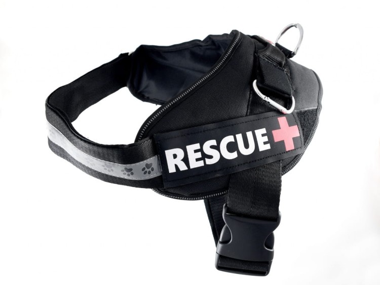 HA-RESCUE-BL-M-XL 1.JPG