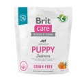 BRIT_CARE_DOG_GRAIN-FREE_PUPPY_SALMON_1KG_FRONT.jpg