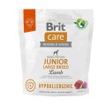 BRIT_CARE_DOG_HYPOALLERGENIC_JUNIOR_LARGE_LAMB_1KG_FRONT.jpg