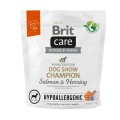 BRIT_CARE_DOG_HYPOALLERGENIC_CHAMPION_1KG_FRONT.jpg