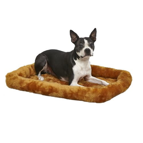 dog_on_30in_cinnamon_on_white.jpg