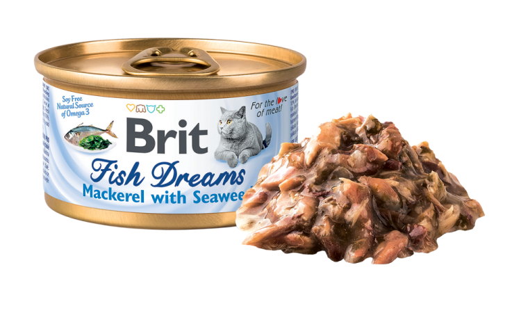 b8438be5bebb2ffa29c05bdb62c0f7da