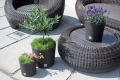 Rato_Round_DRTUS_L_440U_aranz_02-600x400.png