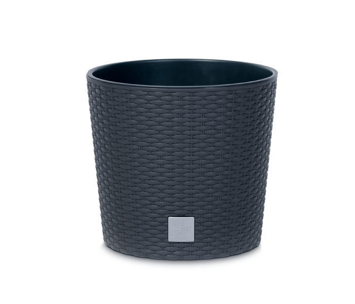 Rato_Round_DRTUS_L_S433.png