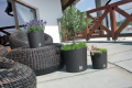 Rato_Round_DRTUS_L_440U_aranz_01-600x400.png