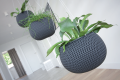 Splofy_Bowl_WS_DKSP_WS_aranz_01-600x400.png