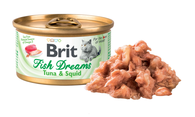 f05ae5b226cae3d22c306af0672c1d9c