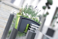 crown_DCRO240_389U_aranz_01.png