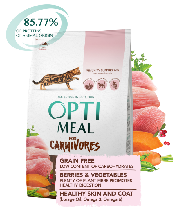 8d6baa0945a87b464b59801de99b4b94