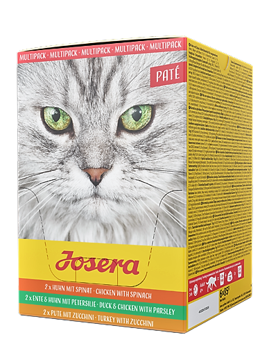 121a8e5445c20af5bcc1de3e15579fa4