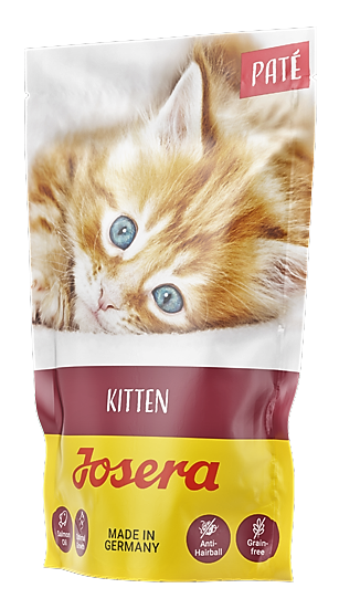 fa1a1296efb96f5db0702144962954b0