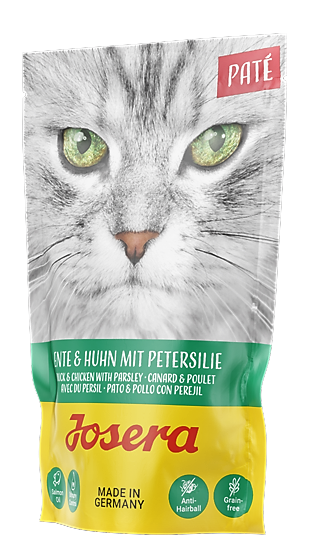 2bfcd4a9d0e62f84b15ee77f7c5f0776