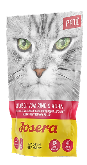 33e0c5cd40559fe5cd7f7090e63dea3c